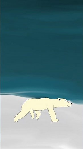 Polar Bear | 🐻‍❄️ | Toon Boom Harmony Animation
