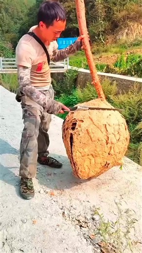 Unique bee house #informationfacts04 #interstingfacts #amazing #motivation #fyp #facts