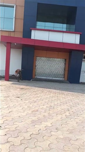 apna collage l BCA Boy rani ki sarai # minivlogs # shorts