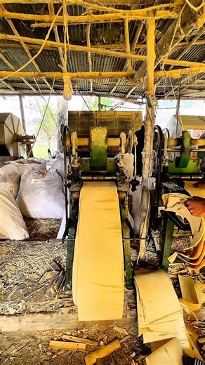 Check out how to make ice cream sticks out of wood.