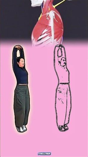 👉 ⚙️ 4 Ejercicios En Pared Activan Postura Y Fortalecen Cuerpo Completo ⚙️