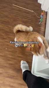 Ranking bros wall jumps Part 11 — best wall jump moments