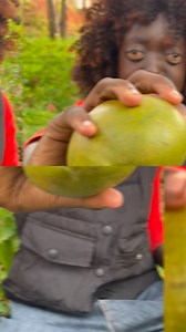 28K views · 704 reactions | Friends how do you call mango in your language? in my language we call it OMUYEMBE  | Kiwuka African Princess | Facebook