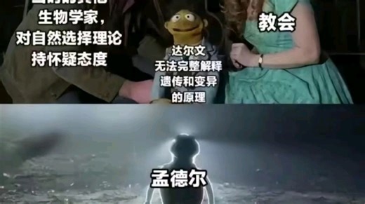 神—孟德尔和一些他妈的豌豆