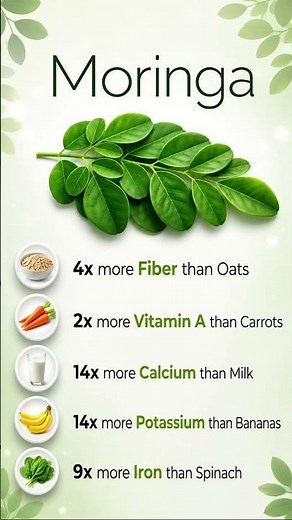 Moringa: Nature’s Superfood? 🌿 Amazing Health Benefits You Should Know!