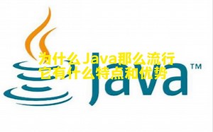 为什么Java那么流行，有什么特点和优势