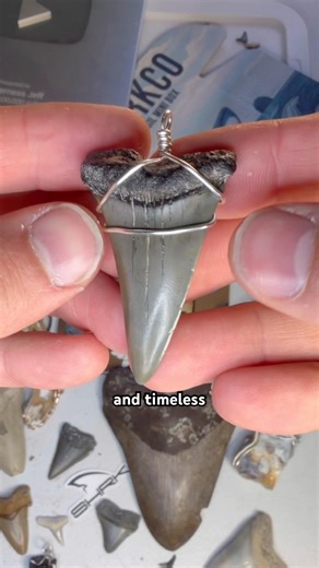 Who knew shark tooth necklaces were such an ancient style? I can make you one on my website #sharks