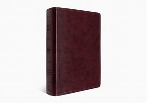 ESV Super Giant Print Bible (TruTone, Burgundy) ESV, English Standard Version 9781433558832