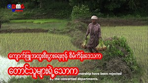 ▪ ကျောက်ဖြူအထူးစီးပွားရေးဇုန်စီမံကိန်းဒေသက တောင်သူများရဲ့သောက “တရုတ် - မြန်မာ” နှစ်နိုင်ငံအစိုးရရဲ့ အလုပ်အကိုင်အခွင့်အလမ်း၊ ဒေသဖွံ့ဖြိုးရေး စတဲ့ မက်လုံးတွေနဲ့အတူ တဖြည်းဖြည်းရွေ့နေတဲ့ ကျောက်ဖြူအထူးစီးပွားရေးဇုန် စီမံကိန်းဧရိယာအတွင်းက ဘိုးဘွားစဉ်ဆက် လုပ်ကိုင်စားသောက်လာကြတဲ့ လယ်ယာမြေတွေပါဝင်နေတဲ့ ဒေသခံတောင်သူတွေရဲ့ စိုးရိမ်ပူပန်မှုတွေနဲ့ စီမံကိန်းဧရိယာအတွင်း ဖြစ်ပေါ်နေတဲ့ လယ်ယာမြေပြဿနာတွေ၊ ဒေသခံများရဲ့ လိုလားချက်တွေကို DMG က တင်ဆက်ပေးလိုက်ပါတယ်။ ယခုရုပ်သံမှတ်တမ်းကို ၂၀၂၂ ခုနှစ်၊ ဇူလိုင်လအတွင်းက စီမ