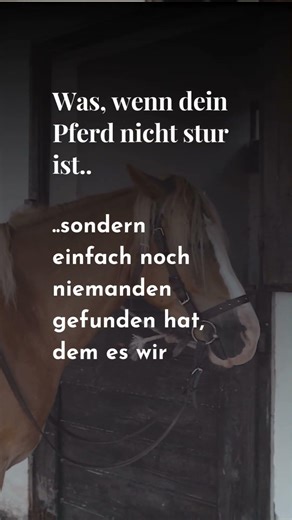 Was, wenn dein Pferd gar nicht "stur ist"?