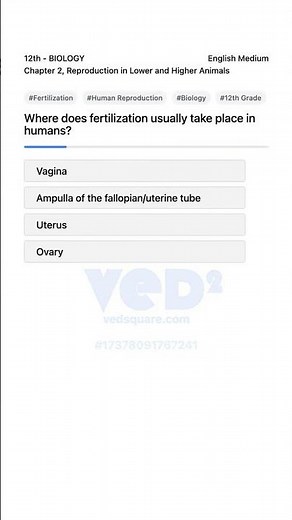 Human Fertilization Site Biology Reproduction Chapter
