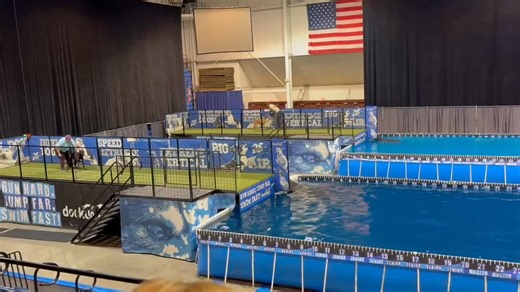 Huge congratulations to our members competing in Tier 3 Speed Retrieve finals! Of the 6 top dogs, FOUR of them are DDD members! 🏆 Kathryn and Spork- your new world champions! | Delmarva DockDogs