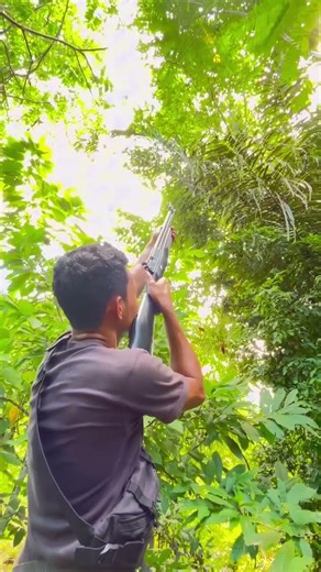 Sharp inova🔥#shorts