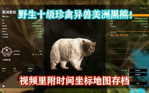 【粉丝投稿】野生十级珍禽异兽美洲黑熊！视频里附时间坐标地图存档