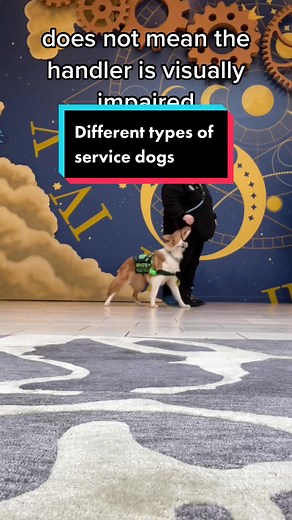 Dakota & Pups on TikTok