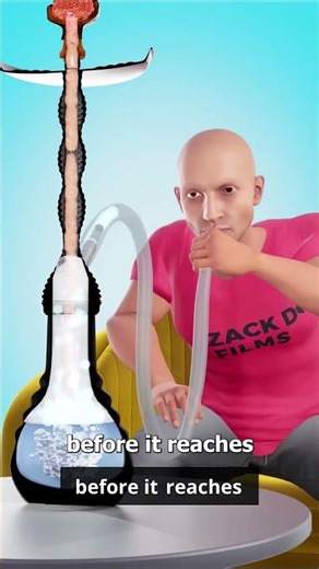 Discover the Truth Behind Hookah Smoking! 💨