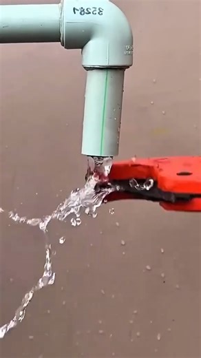 110K views · 130 reactions | Grow with Hazel on Reels | Facebook