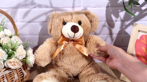 Liliful 12 Inch Teddy Bear with Voice Recording Memorial Recordable Teddy Bear 30 Seconds Stuffed Animal Voice Recorder Recordable Message Plush Animal for Women Birthday Memorial Remembrance Gift