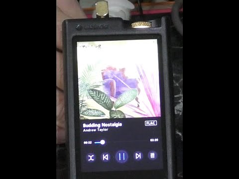 Lotoo Paw 6000 DAP v Colorfly U8 v AK380 v Fiio M11 - ultimate field test and review