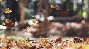 This ‘Christian Girl Autumn’ Influencer Needs ‘a Break’