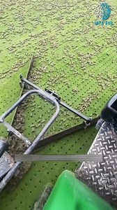 267K views · 2K reactions | Why Golf Course Grass Is Full of Tiny Holes – Amazing Turf Maintenance Process!” #shorts #viral #fb #reels #new #viralvideo # | Info Hub | Facebook