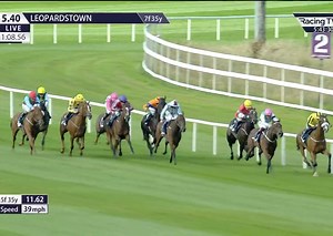 Leopardstown Racecourse on Reels
