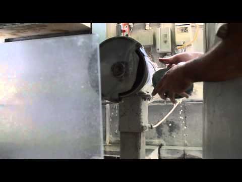 Cleaning of Paua Shell in our Factory