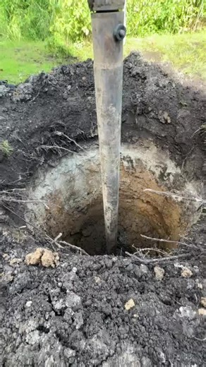 Discover the BalliBot: The Future of Smart Technology