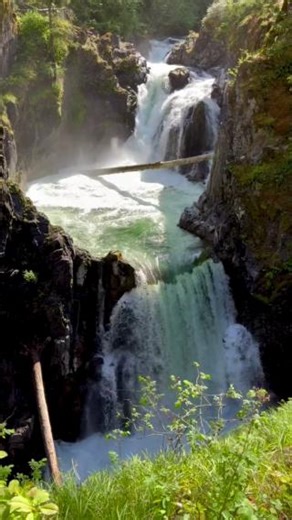 Tucked between Cameron Lake and the ocean, Little Qualicum Falls is a popular stop along Highway 4—and for good reason. The trail is short and easy to follow, with plenty of viewpoints overlooking the upper and lower falls. The surrounding park is home to old-growth forest, riverside campsites, and swimming spots in the summer months. Great for a leg stretch on a road trip or a relaxed weekend hike. 🎥: Jennifer Maria #britishcolumbiamagazine | British Columbia Magazine
