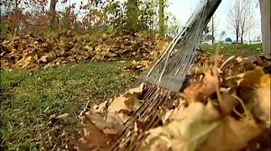 Winnipeg to wrap up curbside yard waste collection for the year