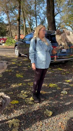 Scottie and Remi meet Starr's newest red tail, Milkshake | Allyson M Hicks