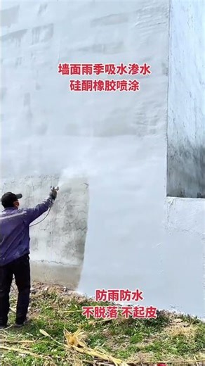 Exterior Wall Water Leak: Fixing Dampness and Mold
