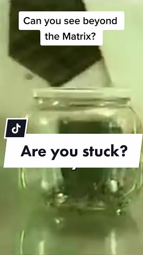 Training fleas to conform. A perfect example for human conditioning as well. #escapethematrix #matrix #conformity #consciousness #mindset #fyp