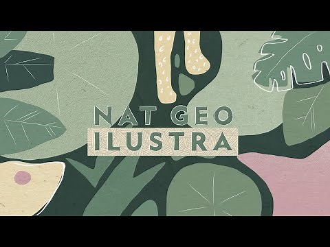 Nat Geo Ilustra Amazônia