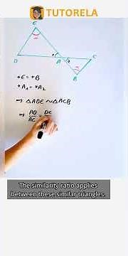 Understanding Triangle Similarity: A.A Method #Math #SimilarTrianglesAndPolygons