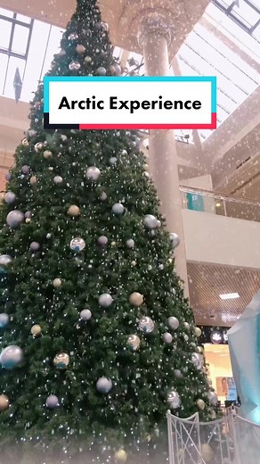 The Arctic Experience: Indoor Snow & Synthetic Ice Rink