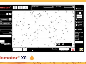 双荧光酵母细胞计数活力分析仪-Cellometer X2