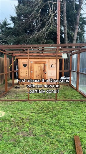 Exciting Updates on Our Backyard Duck Run