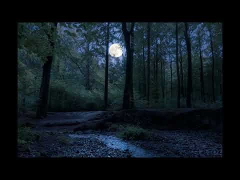 Alex G. Subs | Werewolf Velma