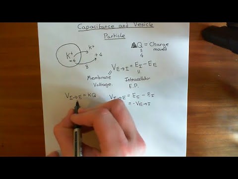 Cell Membrane Capacitance and Vesicle Fusion Part 1