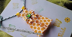 Rastline: Metuljčka lila, Buddleja davidii - čas sajenja, rastlin in nega | 2025