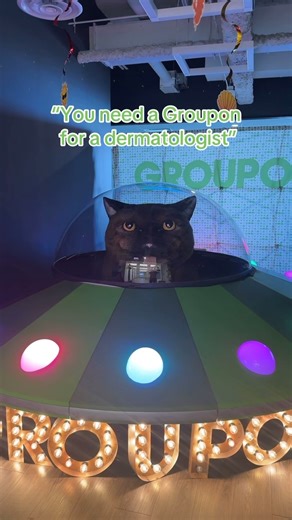 "Get her, Jade!" 💚 🐈‍⬛ #groupon #groupondeals #chicago #savingtips | Groupon