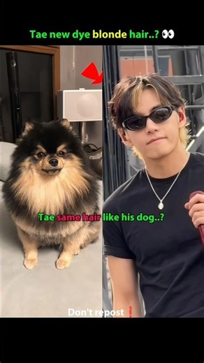Taehyung blonde hair like his dog