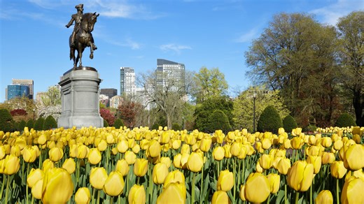 Where to see flowers in Massachusetts this spring: 8 photo-worthy places to visit