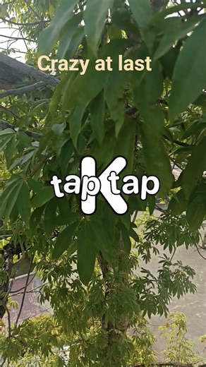 #trending # Abcd challenge