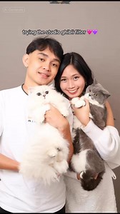 8.9K views · 278 reactions | Meowmily as Studio Ghibli characters 勺 SO CUTE!!!  | Meowmily | Facebook