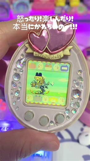 Wait… already?! Mametchi that fast?! tamagotchi #tamagotchi