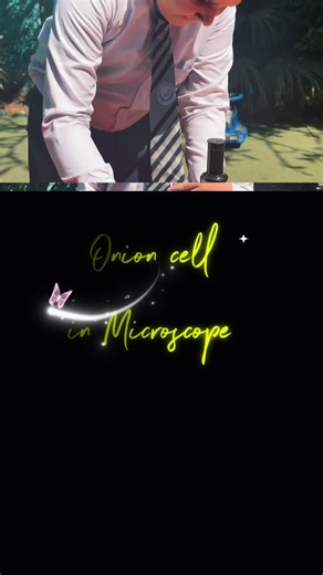 Presentation on Onion cell in Microscope 🔬#viralvideo #afss #fyp #tiktok #foruoupage