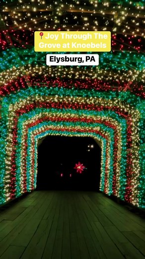 3.9K views · 38 reactions | The holiday magic is at every turn during a visit to Joy Through The Grove at Knoebels Amusement Resort! The drive-through experience is open nightly from 5:30-9pm in December, with the exception of Christmas Eve and Day.  #DiscoverNEPA | DiscoverNEPA | Facebook