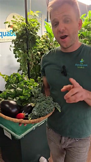 We're going back to the basics! Our aquaponics basics course is for beginners who want to learn about #aquaponics and start their own #aquaponicgarden at home! Come see us in #Denver at the dates in October & December! Dates, topics, and more information available at https://www.theaquaponicsource.com/aquaponics-basics-and-build-class/ #aquaponicsdaily #aquaponics #aquaponicsdaily #aquaculture #aquaponicfarming | The Aquaponic Source | Facebook
